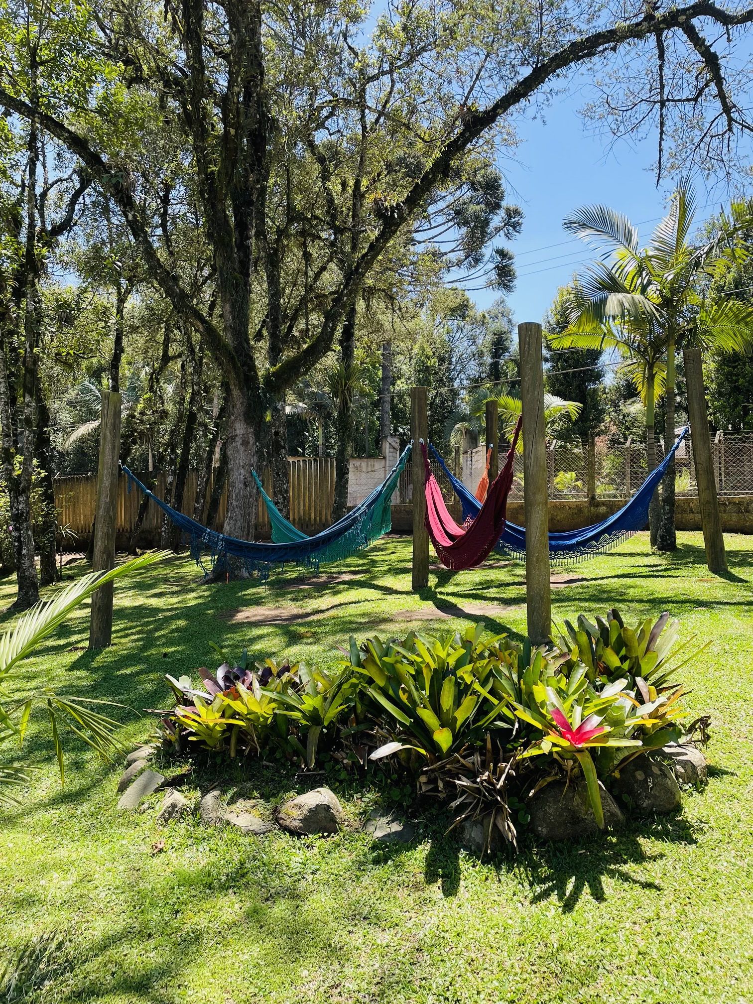 Ambiente natural da Chácara das Vaquinhas
